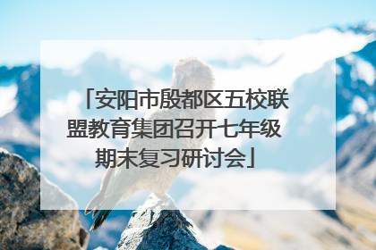安阳市殷都区五校联盟教育集团召开七年级期末复习研讨会