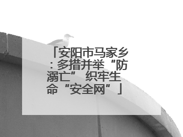 安阳市马家乡：多措并举“防溺亡” 织牢生命“安全网”