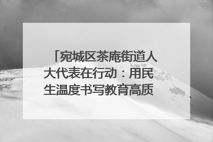 宛城区茶庵街道人大代表在行动：用民生温度书写教育高质量发展答卷