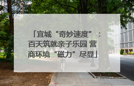 宜城“奇妙速度”：百天筑就亲子乐园 营商环境“磁力”尽显
