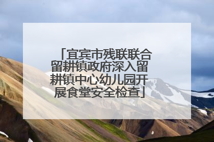 宜宾市残联联合留耕镇政府深入留耕镇中心幼儿园开展食堂安全检查