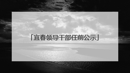 宜春领导干部任前公示