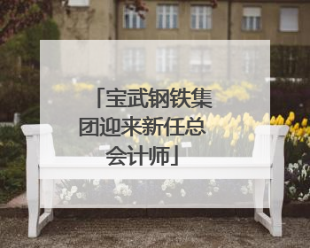 宝武钢铁集团迎来新任总会计师