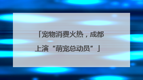宠物消费火热，成都上演“萌宠总动员”