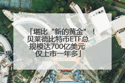 堪比“新的黄金”！贝莱德比特币ETF总规模达700亿美元 仅上市一年多