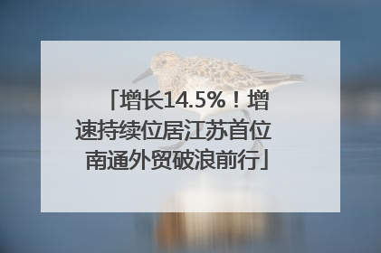 增长14.5%！增速持续位居江苏首位 南通外贸破浪前行