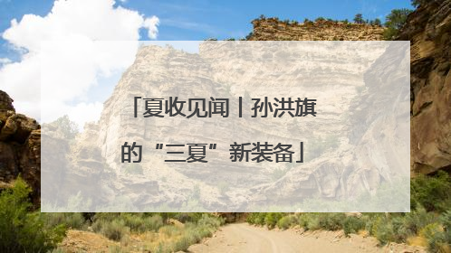 夏收见闻丨孙洪旗的“三夏”新装备
