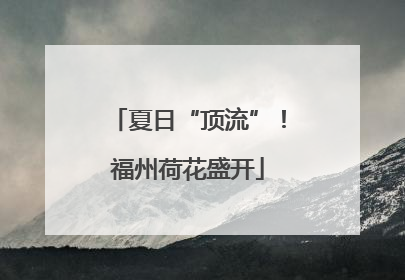 夏日“顶流”！福州荷花盛开