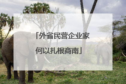外省民营企业家何以扎根商南