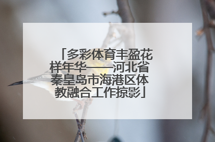 多彩体育丰盈花样年华——河北省秦皇岛市海港区体教融合工作掠影
