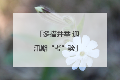 多措并举 迎汛期“考”验