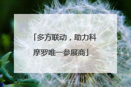 多方联动，助力科摩罗唯一参展商