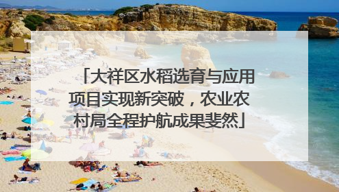 大祥区水稻选育与应用项目实现新突破，农业农村局全程护航成果斐然