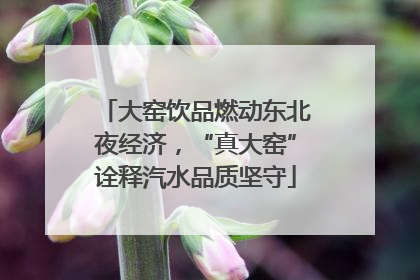 大窑饮品燃动东北夜经济，“真大窑”诠释汽水品质坚守