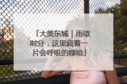 大美东城｜雨歇时分，这里藏着一片会呼吸的绿境