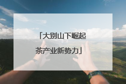 大别山下崛起茶产业新势力