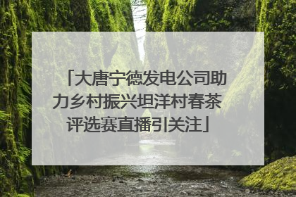 大唐宁德发电公司助力乡村振兴坦洋村春茶评选赛直播引关注