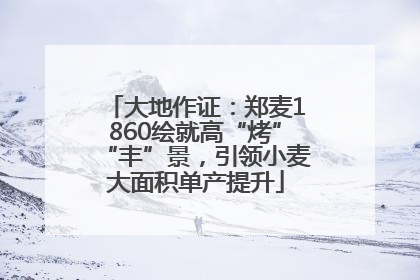 大地作证：郑麦1860绘就高“烤”“丰”景，引领小麦大面积单产提升