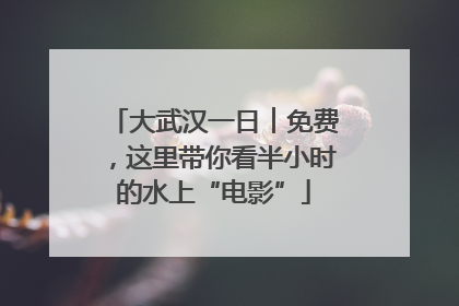 大武汉一日︱免费，这里带你看半小时的水上“电影”
