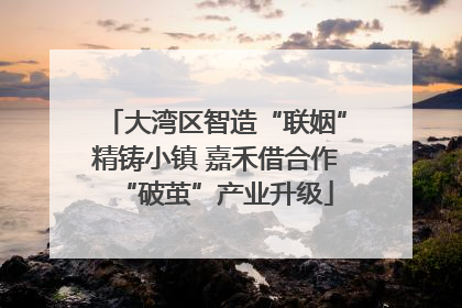 大湾区智造“联姻”精铸小镇 嘉禾借合作“破茧”产业升级