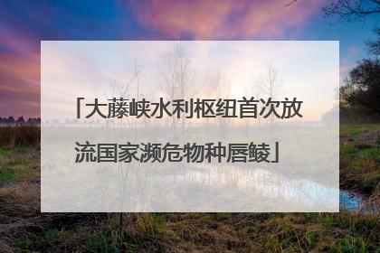 大藤峡水利枢纽首次放流国家濒危物种唇鲮