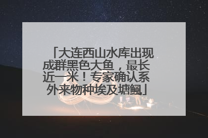 大连西山水库出现成群黑色大鱼，最长近一米！专家确认系外来物种埃及塘鲺
