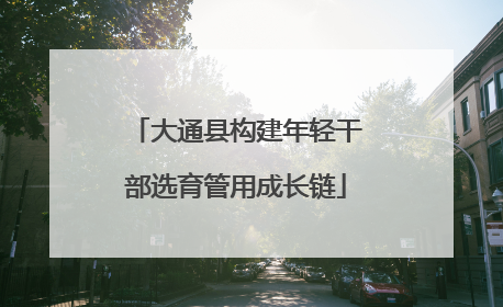大通县构建年轻干部选育管用成长链