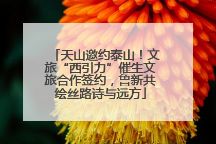 天山邀约泰山！文旅“西引力”催生文旅合作签约，鲁新共绘丝路诗与远方
