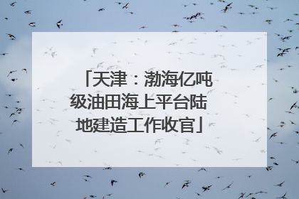 天津：渤海亿吨级油田海上平台陆地建造工作收官