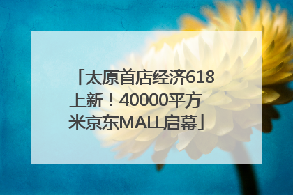 太原首店经济618上新！40000平方米京东MALL启幕
