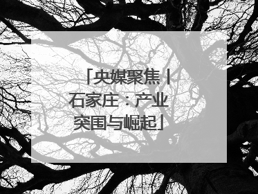 央媒聚焦丨石家庄：产业突围与崛起