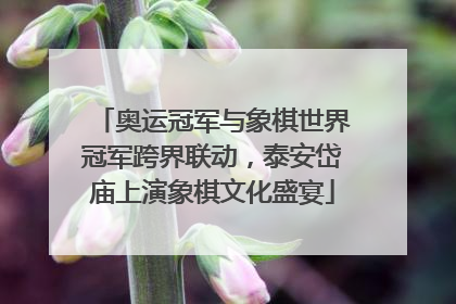 奥运冠军与象棋世界冠军跨界联动，泰安岱庙上演象棋文化盛宴