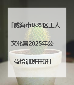 威海市环翠区工人文化宫2025年公益培训班开班