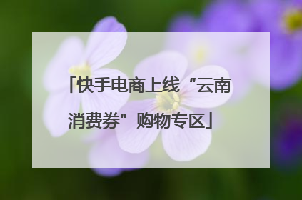 快手电商上线“云南消费券”购物专区