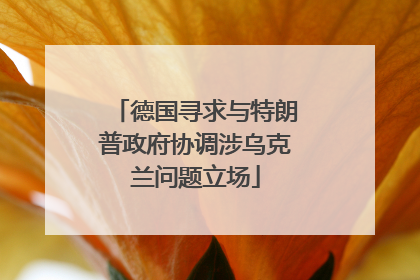 德国寻求与特朗普政府协调涉乌克兰问题立场