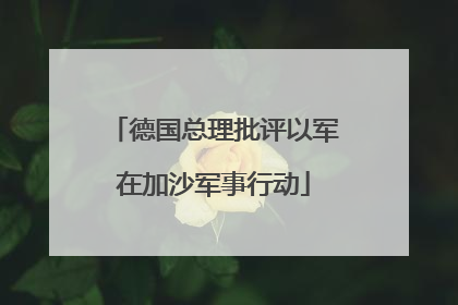 德国总理批评以军在加沙军事行动