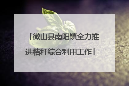微山县南阳镇全力推进秸秆综合利用工作
