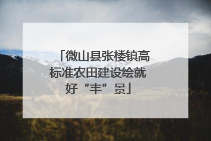 微山县张楼镇高标准农田建设绘就好“丰”景
