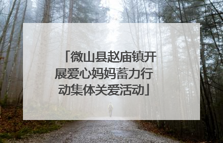 微山县赵庙镇开展爱心妈妈蓄力行动集体关爱活动