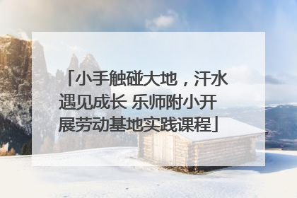 小手触碰大地，汗水遇见成长 乐师附小开展劳动基地实践课程