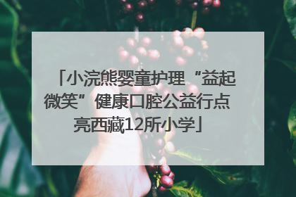 小浣熊婴童护理“益起微笑”健康口腔公益行点亮西藏12所小学