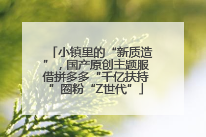 小镇里的“新质造”，国产原创主题服借拼多多“千亿扶持”圈粉“Z世代”