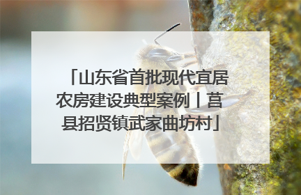 山东省首批现代宜居农房建设典型案例丨莒县招贤镇武家曲坊村