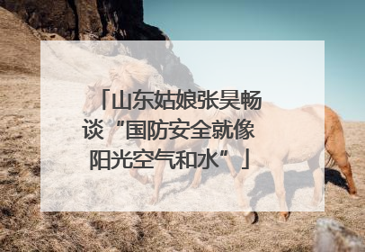 山东姑娘张昊畅谈“国防安全就像阳光空气和水”