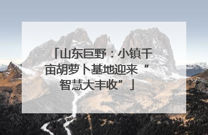 山东巨野：小镇千亩胡萝卜基地迎来“智慧大丰收”
