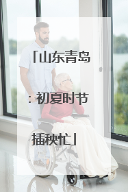 山东青岛：初夏时节插秧忙