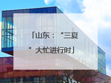山东：“三夏”大忙进行时