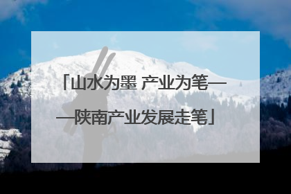 山水为墨 产业为笔——陕南产业发展走笔