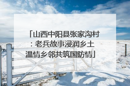 山西中阳县张家沟村：老兵故事浸润乡土 温情乡邻共筑国防情