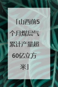 山西前5个月煤层气累计产量超60亿立方米